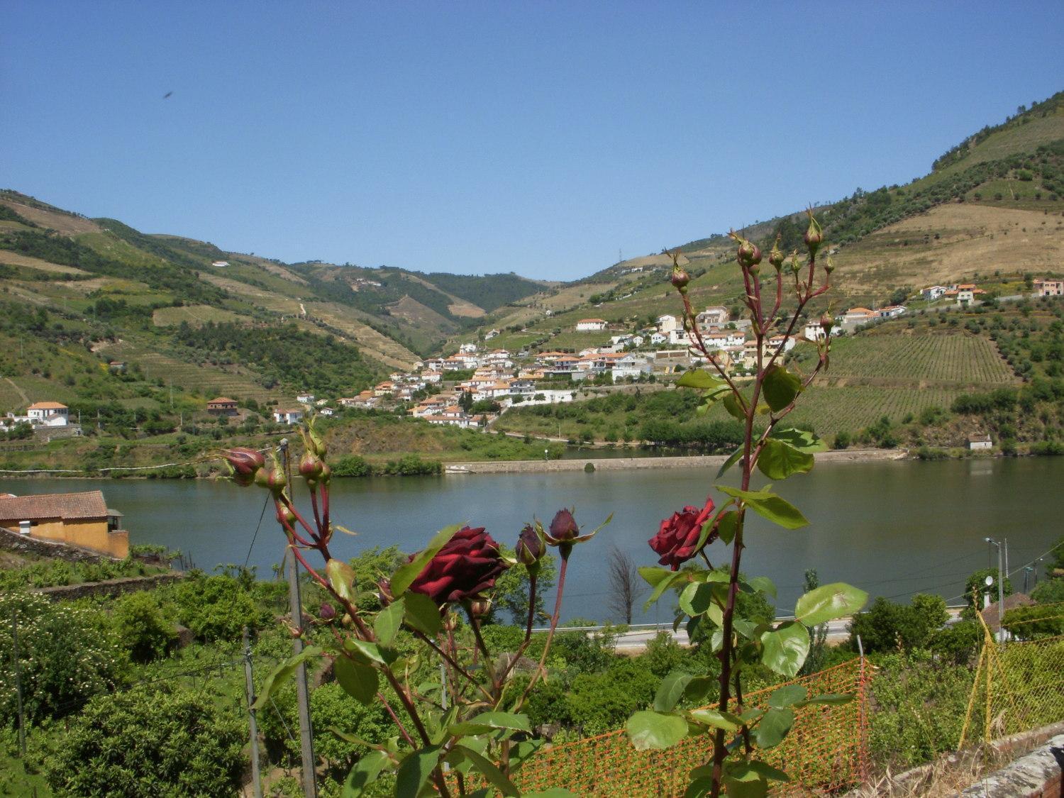 Готель Quinta Da Azenha Folgosa  Екстер'єр фото