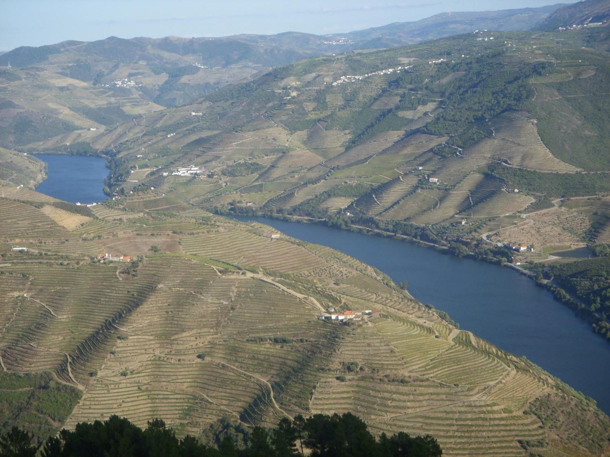 Готель Quinta Da Azenha Folgosa  Екстер'єр фото